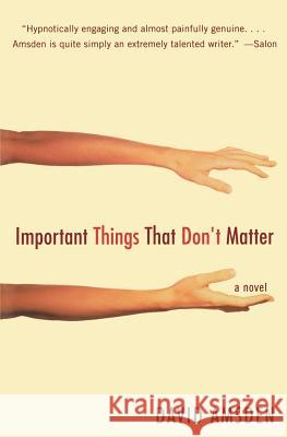 Important Things That Don't Matter David Amsden 9780060513894 Harper Perennial