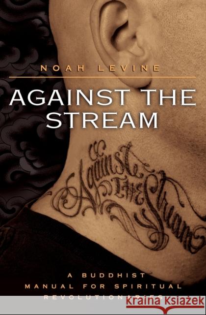 Against the Stream: A Buddhist Manual for Spiritual Revolutionaries Noah Levine 9780060736644 HarperOne