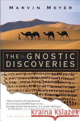 The Gnostic Discoveries: The Impact of the Nag Hammadi Library Marvin Meyer 9780060858322 HarperOne