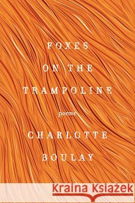 Foxes on the Trampoline Charlotte Boulay 9780062302496 Ecco Press
