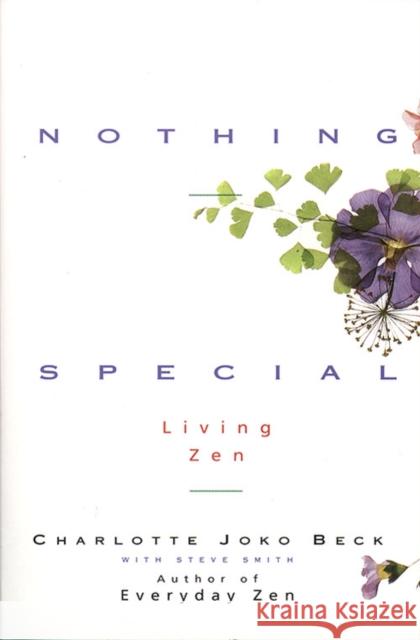 Nothing Special Steve Smith 9780062511171 HarperOne