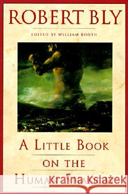 A Little Book on the Human Shadow Robert W. Bly 9780062548474 HarperOne