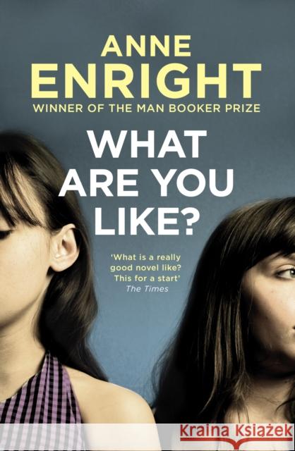What Are You Like Anne Enright 9780099284345