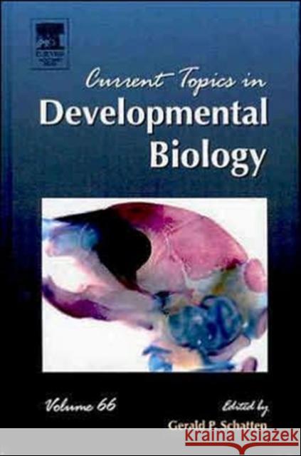 Current Topics in Developmental Biology: Volume 66 Schatten, Gerald P. 9780121531669 Academic Press