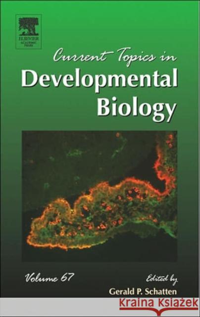 Current Topics in Developmental Biology: Volume 67 Schatten, Gerald P. 9780121531676 Academic Press