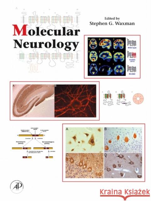 Molecular Neurology Stephen G. Waxman 9780123695093 Academic Press