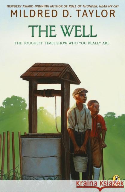 The Well Mildred D. Taylor 9780140386424 Puffin Books