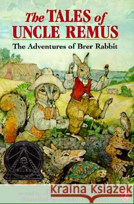 The Tales of Uncle Remus: The Adventures of Brer Rabbit Julius Lester Jerry Pinkney 9780141303475 Puffin Books