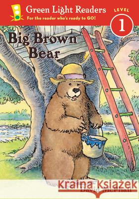 Big Brown Bear David M. McPhail 9780152048587 Green Light Readers