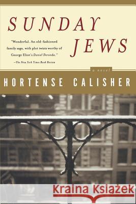 Sunday Jews Hortense Calisher 9780156027458 Harvest/HBJ Book