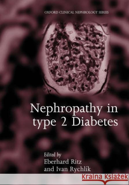Nephropathy in Type 2 Diabetes Ritz                                     Eberhard Ritz 9780192629456 Oxford University Press