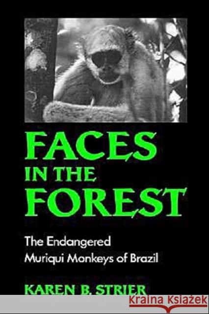 Faces in the Forest: The Endangered Muriqui Monkeys of Brazil Strier, Karen B. 9780195063394 Oxford University Press
