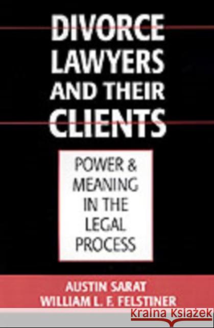 Divorce Lawyers and Their Clients: Power and Meaning in the Legal Process Sarat, Austin 9780195063875 Oxford University Press