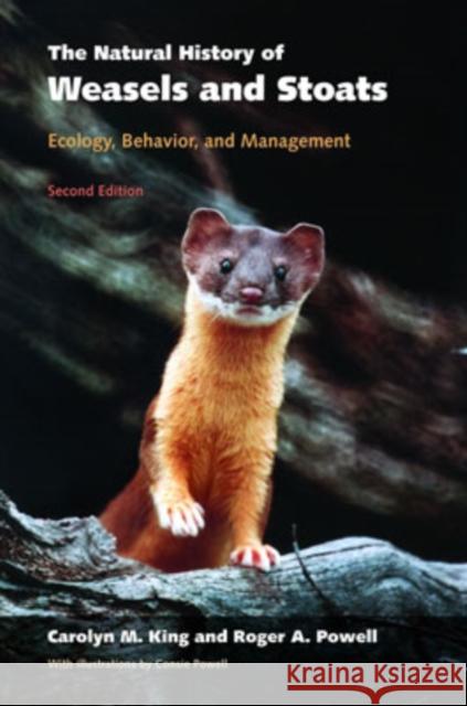 The Natural History of Weasels and Stoats: Ecology, Behavior, and Management King, Carolyn M. 9780195322712 Oxford University Press, USA