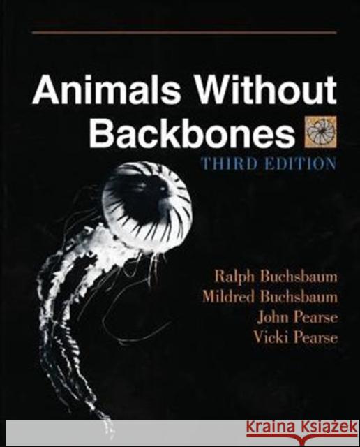 Animals Without Backbones: An Introduction to the Invertebrates Buchsbaum, Ralph 9780226078748 University of Chicago Press