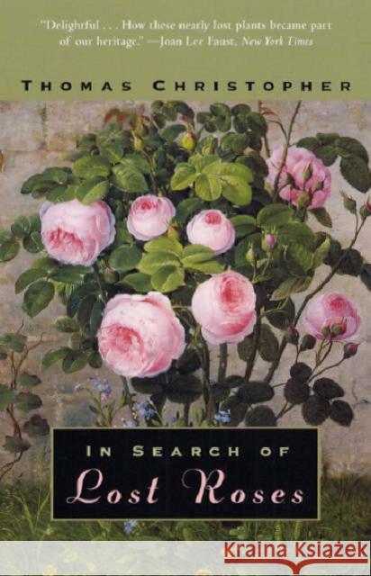 In Search of Lost Roses Thomas Christopher 9780226105963 The University of Chicago Press