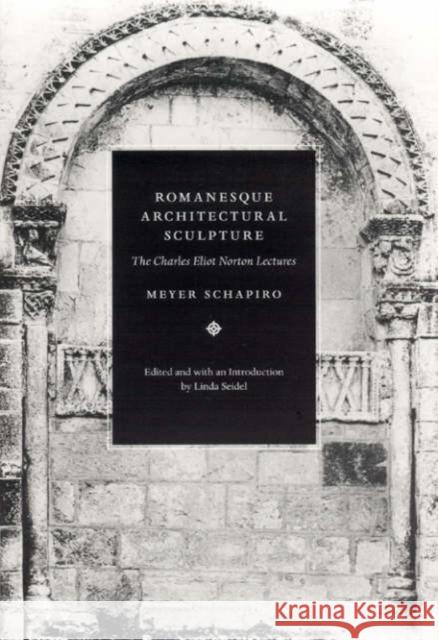 Romanesque Architectural Sculpture: The Charles Eliot Norton Lectures Meyer Schapiro Linda Seidel 9780226750637 University of Chicago Press