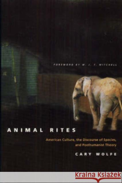 Animal Rites: American Culture, the Discourse of Species, and Posthumanist Theory Wolfe, Cary 9780226905143 University of Chicago Press
