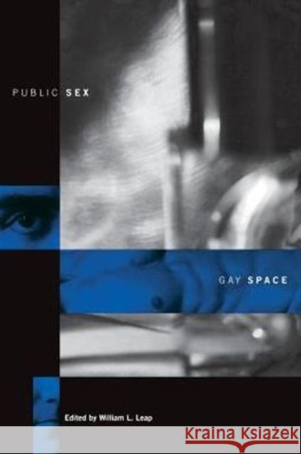 Public Sex/Gay Space William L. Leap 9780231106917 Columbia University Press