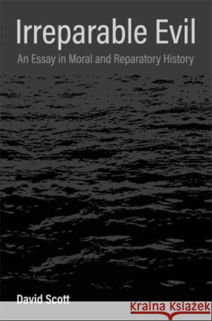 Irreparable Evil: An Essay in Moral and Reparatory History David Scott 9780231213042 Columbia University Press