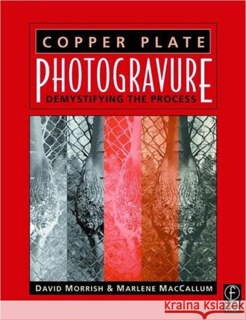 Copper Plate Photogravure: Demystifying the Process Morrish, David 9780240805276 Focal Press