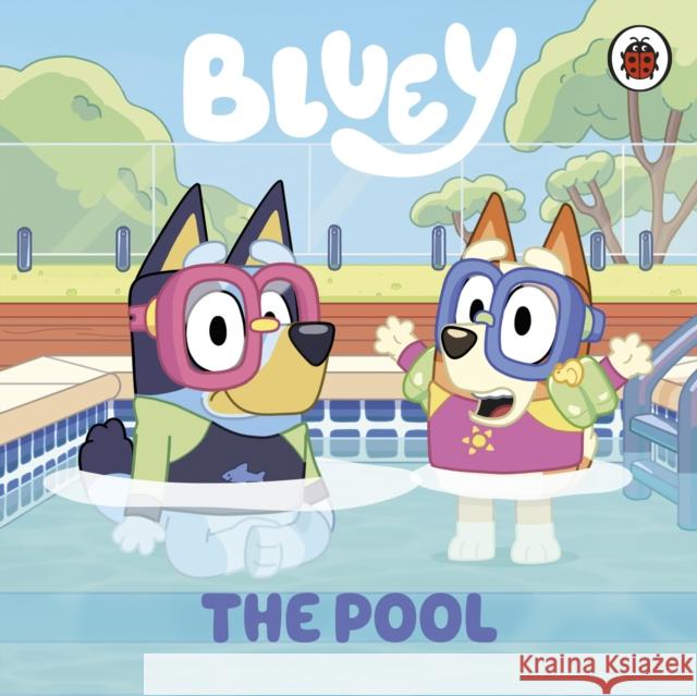 Bluey: The Pool Bluey 9780241553732