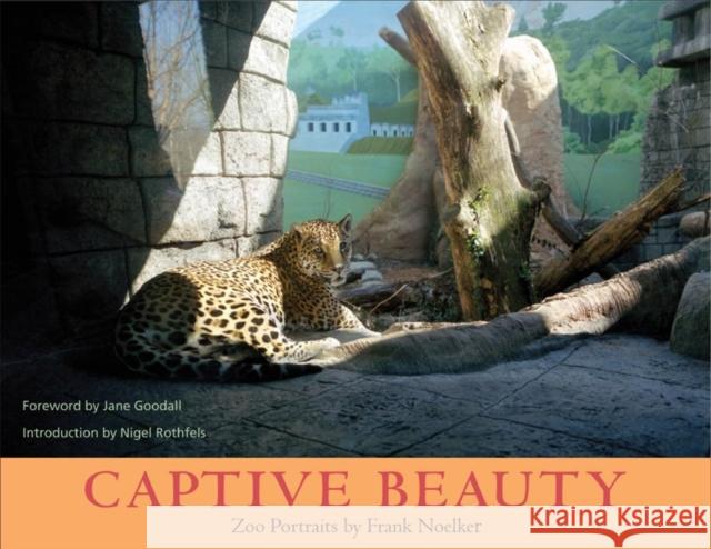 Captive Beauty: Zoo Portraits Noelker, Frank 9780252071690 University of Illinois Press