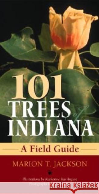 101 Trees of Indiana: A Field Guide Jackson, Marion T. 9780253216946 Indiana University Press