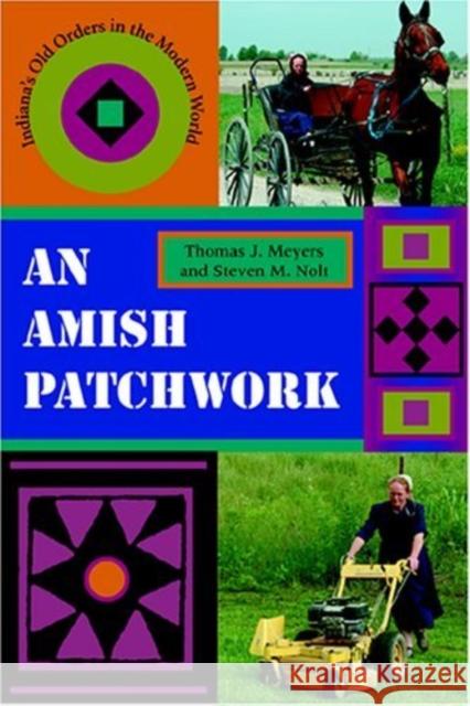 An Amish Patchwork: Indiana's Old Orders in the Modern World Meyers, Thomas J. 9780253217554 Quarry Books
