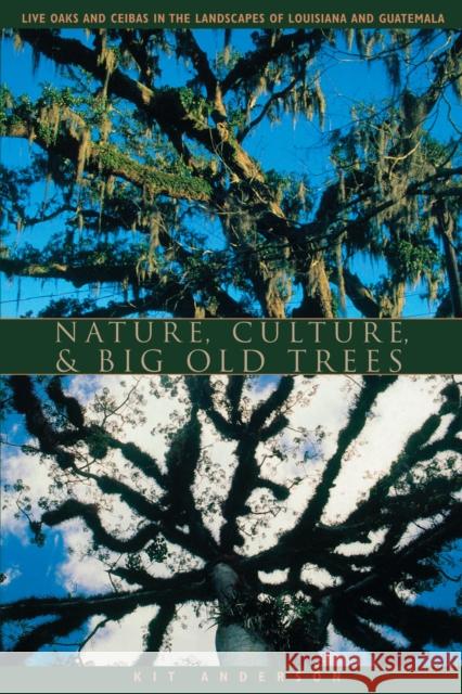 Nature, Culture, and Big Old Trees: Live Oaks and Ceibas in the Landscapes of Louisiana and Guatemala Anderson, Kit 9780292702134 University of Texas Press