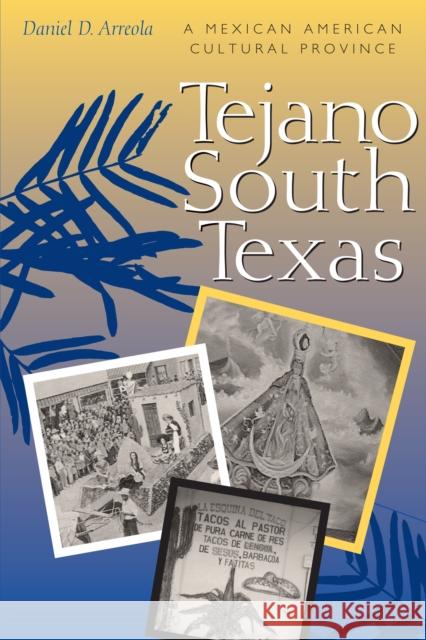 Tejano South Texas: A Mexican American Cultural Province Arreola, Daniel D. 9780292705111 University of Texas Press