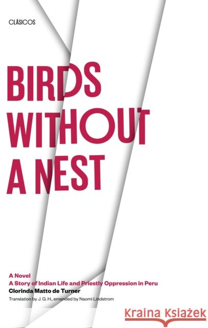 Birds without a Nest: A Novel: A Story of Indian Life and Priestly Oppression in Peru Matto De Turner, Clorinda 9780292751958 University of Texas Press