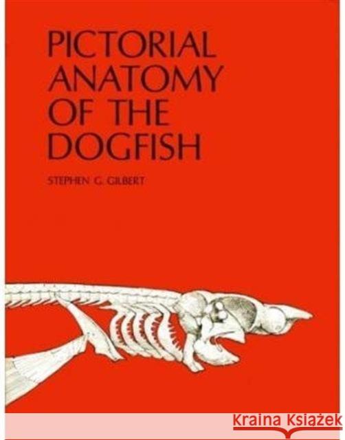 Pictorial Anatomy of the Dogfish Stephen G. Gilbert 9780295951485 University of Washington Press