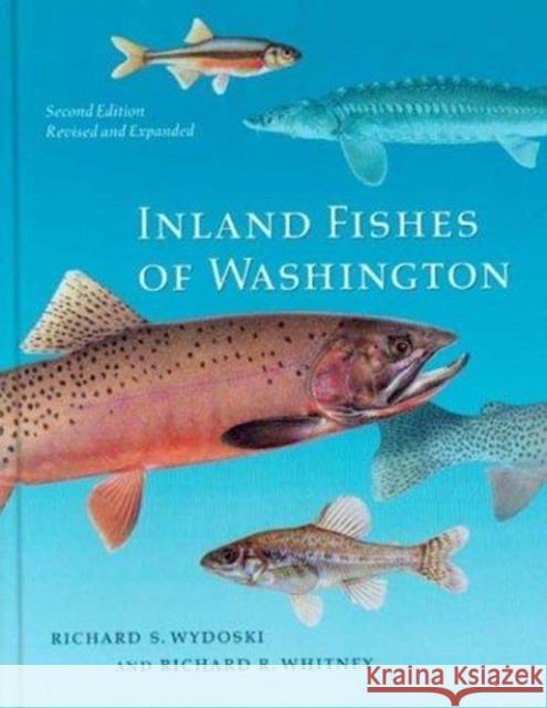 Inland Fishes of Washington: Revised and Expanded Richard S. Wydoski Richard R. Whitney 9780295983387 University of Washington Press