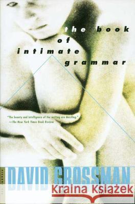 The Book of Intimate Grammar David Grossman Betsy Rosenberg 9780312420956 Picador USA