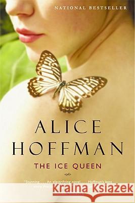 The Ice Queen Alice Hoffman 9780316154383 Back Bay Books