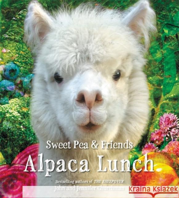 Alpaca Lunch Jennifer Churchman John Churchman 9780316411608 Little, Brown Books for Young Readers