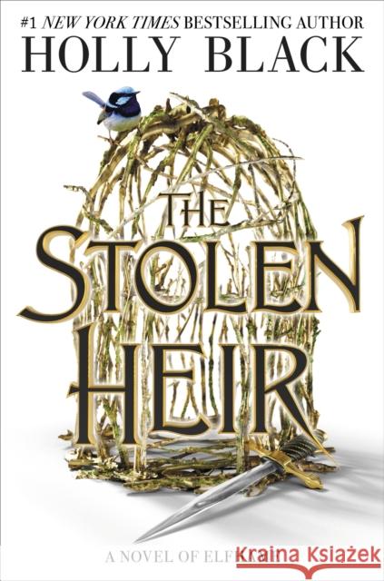 The Stolen Heir: A Novel of Elfhame Holly Black 9780316543309