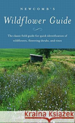 Newcomb's Wildflower Guide Lawrence Newcomb Gordon Morrison 9780316604420 Little Brown and Company