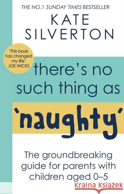 There's No Such Thing As 'Naughty': The groundbreaking guide for parents with children aged 0-5: THE #1 SUNDAY TIMES BESTSELLER Kate Silverton 9780349428529 Little, Brown Book Group