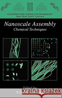 Nanoscale Assembly: Chemical Techniques Huck, Wilhelm T. S. 9780387236087 Springer
