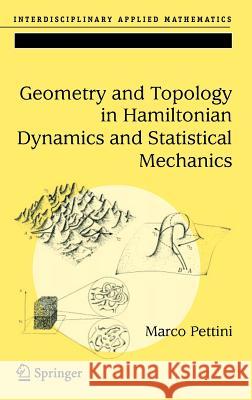 Geometry and Topology in Hamiltonian Dynamics and Statistical Mechanics Marco Pettini 9780387308920 Springer