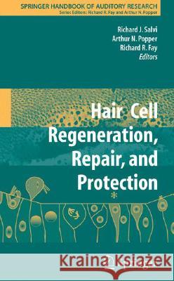Hair Cell Regeneration, Repair, and Protection Arthur N. Popper Richard R. Fay 9780387733630 Springer