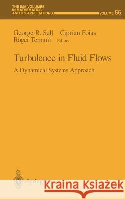 Turbulence in Fluid Flows: A Dynamical Systems Approach Sell, George R. 9780387941134 Springer