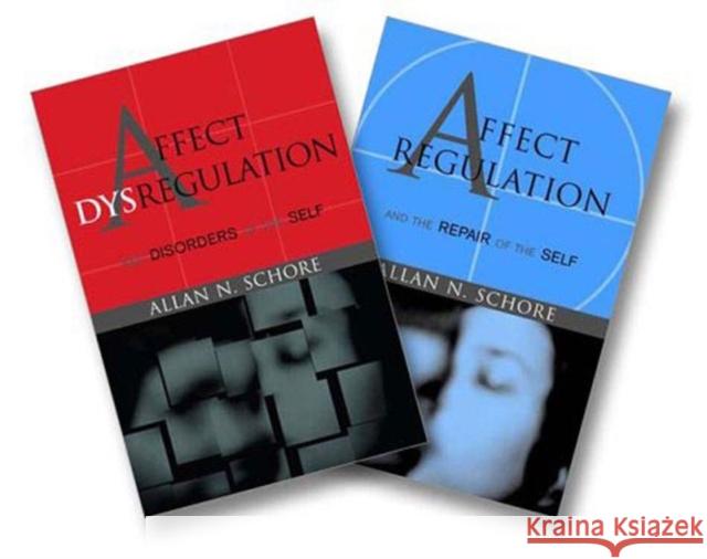 Affect Regulation and the Repair of the Self & Affect Dysregulation and Disorders of the Self Two-Book Set Allan N. Schore 9780393704082 W. W. Norton & Company