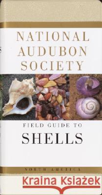 National Audubon Society Field Guide to North American Seashells Harald A. Rehder James M., Jr. Carmichael 9780394519135 Alfred A. Knopf