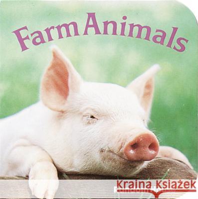 Farm Animals Phoebe Dunn 9780394862545 Random House Children's Books