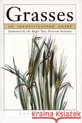 Grasses: An Identification Guide Lauren Brown Lauren Brown 9780395628812 Houghton Mifflin Company