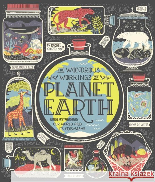 The Wondrous Workings of Planet Earth: Understanding Our World and Its Ecosystems Ignotofsky, Rachel 9780399580413 Ten Speed Press