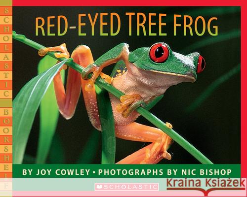 Red-Eyed Tree Frog Joy Cowley Nic Bishop Nic Bishop 9780439782210 Scholastic Paperbacks